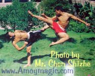 kungfu2sm.jpg