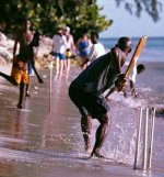 Caribean cricket.jpg