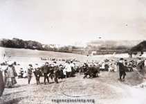 Site of Withdean Stadium.jpg