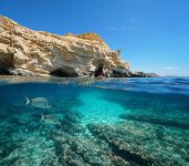 spain-rocky-coast-fish-underwater-andalusia-cabo-de-gata-nijar-natural-park-near-las-negras-medi.jpg