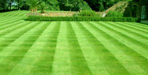 A-nice-lawn-1.jpg