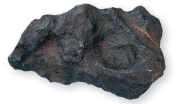 iron-meteorite-dark-fusion-crust-two-column.jpg.thumb.768.768.jpg