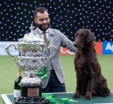 Best-in-Show-Winners-Crufts-2022-Credit-The-Kennel-Club-Flick.digital.jpg