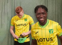 norwich_city_2022_2023_home_kit.jpg