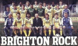 Albion 1982-1983 yellow.JPG
