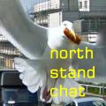 seagull copy.jpg