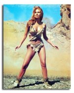 ss3603847_-_photograph_of_raquel_welch_available_in_4_sizes_framed_or_unframed_buy_now_at_star...jpg