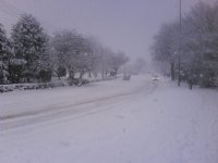 DSC00702.JPG