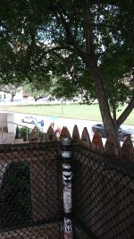 DSC_0418.JPG