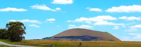 IMG_0636.jpg