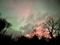 IMG_1716.jpeg