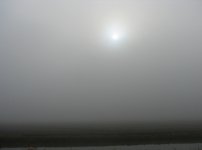 fog.jpg