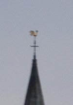 EOS-R7-20250311-0874.jpg