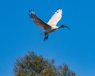 Deepeller Park-4.jpg