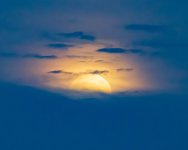 Red Moon-10.jpg