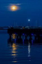 Red Moon-11.jpg