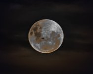 Red Moon-14.jpg