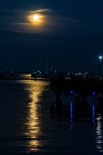 Red Moon-15.jpg