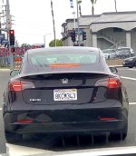 IMG_3493.jpeg