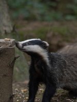 IMG_5776.jpeg