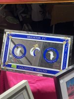 IMG_7567.jpeg