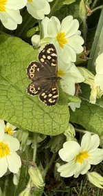 IMG_1814.JPG