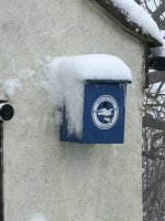 IMG_2069.jpeg