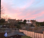 IMG_1157.jpeg