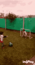 IMG_4157.gif