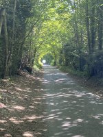 IMG_0065.jpeg