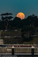 Moonrise-2-2.jpg