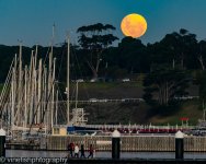 Moonrise-3-2.jpg