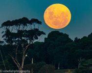 Moonrise-4-2.jpg