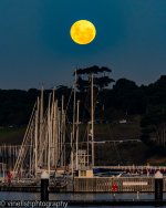 Moonrise-5-2.jpg