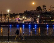 Moonrise-6-2.jpg
