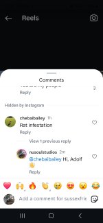 Screenshot_20250519_153050_Instagram.jpg