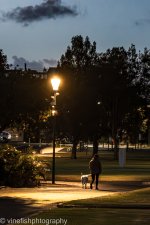 2025-05-27 Rippleside Park-11.jpg