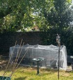 IMG_2274.jpeg