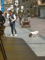 IMAG0794.jpg