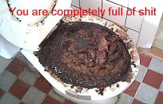 You-Are-Full_of_Shit_(Toilet).jpg