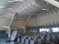 IMG00322-20110603-1028.jpg