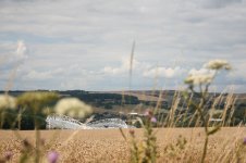 falmer pics 068.JPG