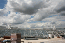 falmer pics 043.gif