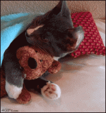 E5dRy.gif