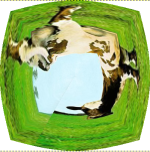 album11.png