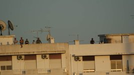 DSC06377a.jpg