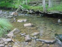 stream-5730.jpg