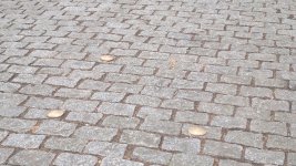 2012-04-08-079.jpg