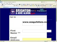 seagullsfanproblem.jpg