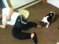titch eaten my foot lol.jpg